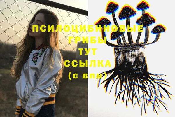 крисы Елабуга