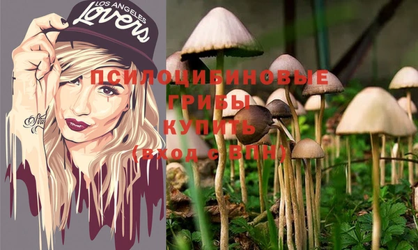 крисы Елабуга