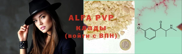 крисы Елабуга