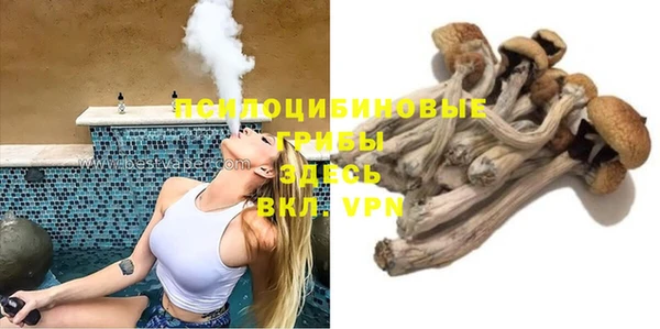 ALPHA PVP Дмитриев